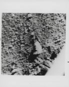 The lunar surface by the first robot sampler spacecraft (4 views), Surveyor 5, 11 September 1967