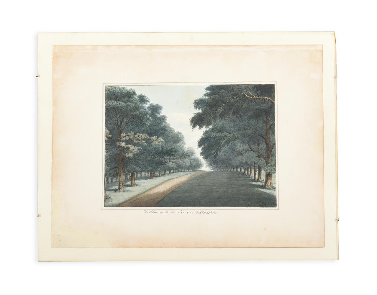 ENGLISH SCHOOL (19TH CENTURY) ELEVEN STUDIES OF TREES AND THE GROUNDS OF BATTLESDEN - Image 4 of 12
