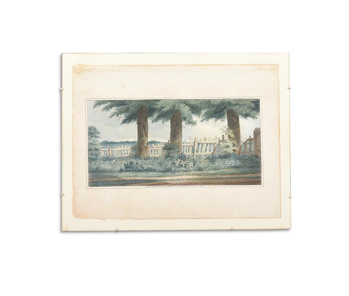 ENGLISH SCHOOL (19TH CENTURY) ELEVEN STUDIES OF TREES AND THE GROUNDS OF BATTLESDEN - Image 5 of 12