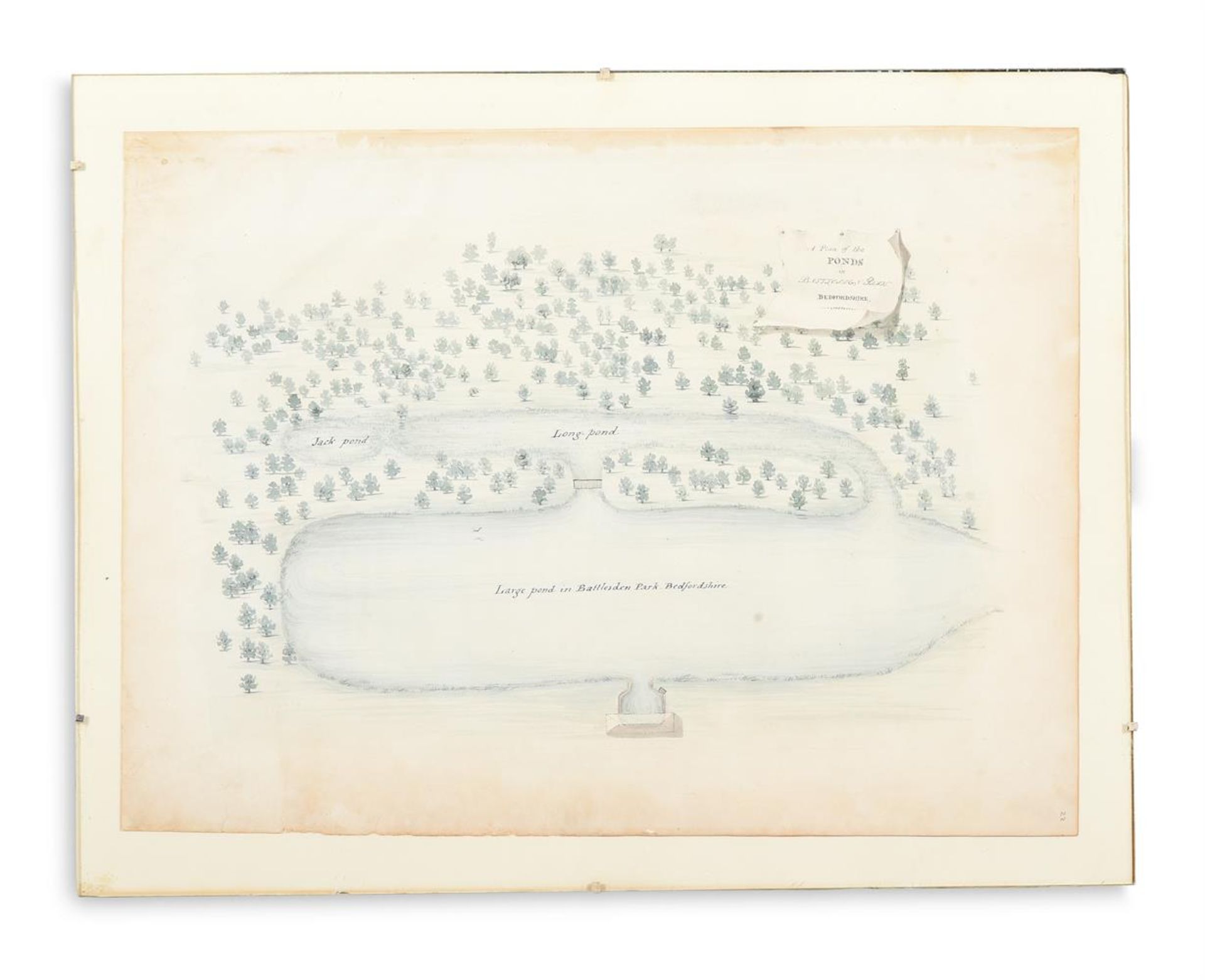 ENGLISH SCHOOL (19TH CENTURY) ELEVEN STUDIES OF TREES AND THE GROUNDS OF BATTLESDEN - Image 12 of 12