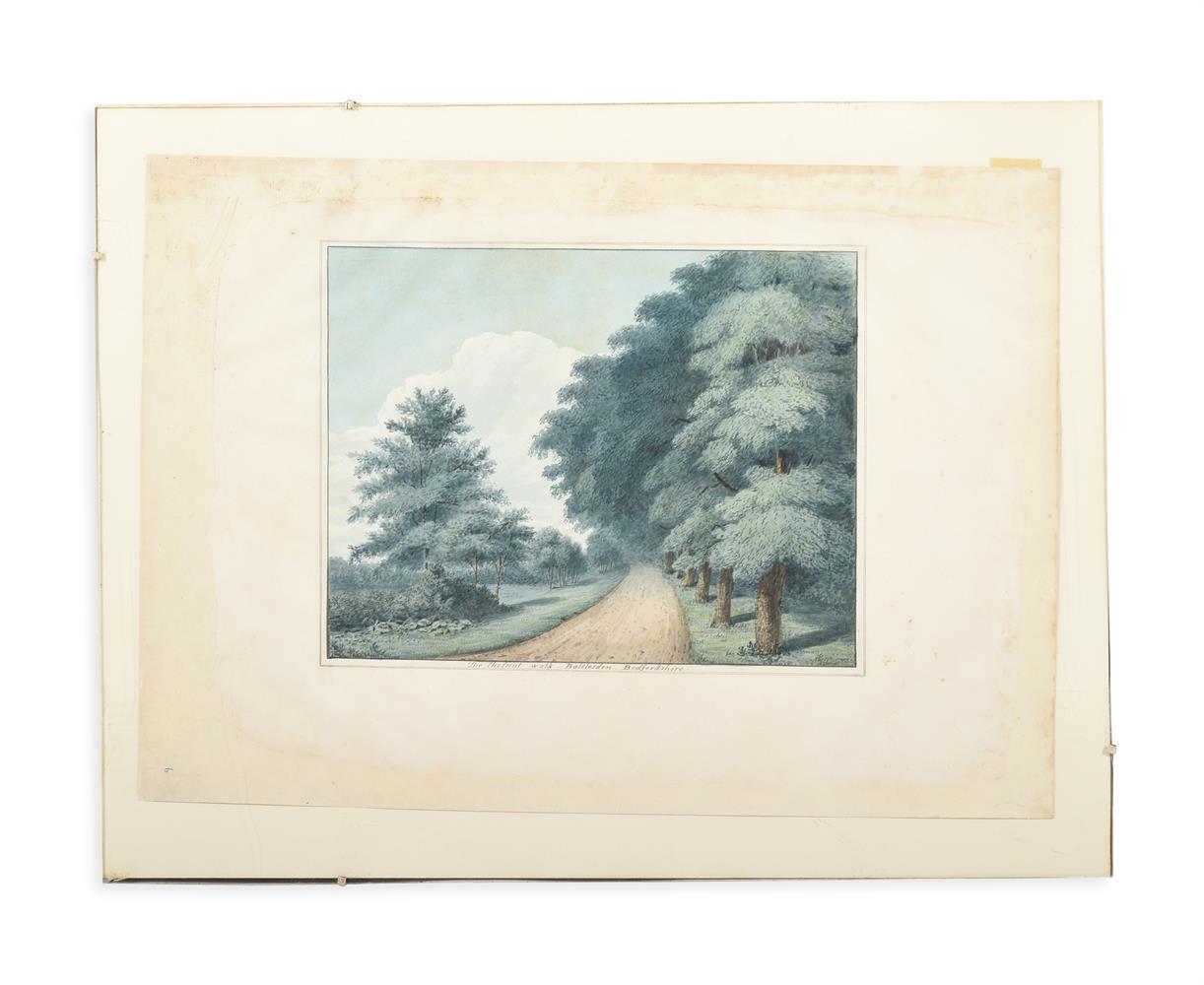 ENGLISH SCHOOL (19TH CENTURY) ELEVEN STUDIES OF TREES AND THE GROUNDS OF BATTLESDEN - Image 3 of 12