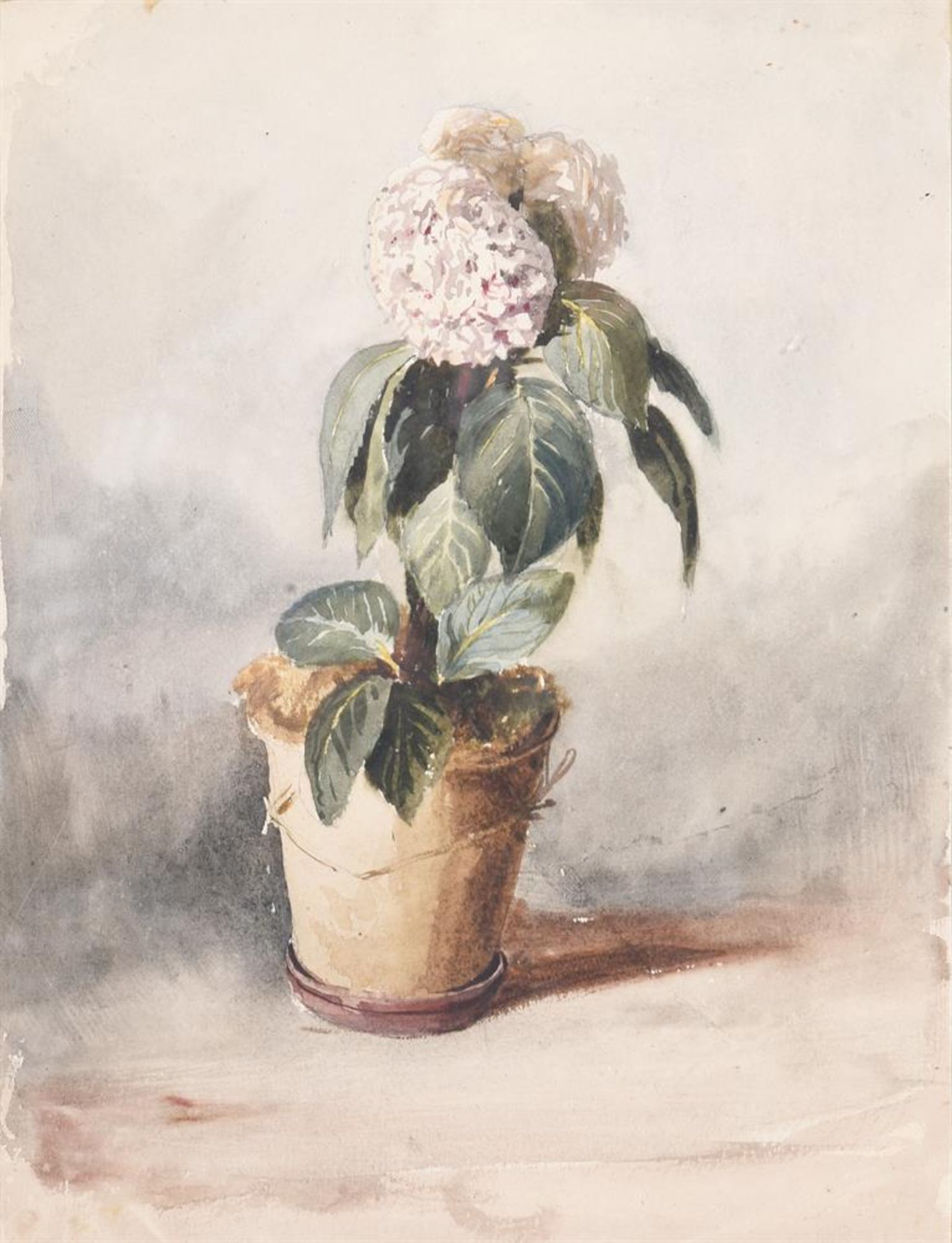 BRITISH SCHOOL (20TH CENTURY), FLOWERS IN A POT - Image 2 of 3