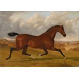 JOHN FREDERICK HERRING SENIOR (BRITISH 1795-1865), A TROTTING HORSE