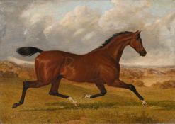 JOHN FREDERICK HERRING SENIOR (BRITISH 1795-1865), A TROTTING HORSE