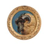ATTRIBUTED TO RICHARD ANSDELL (BRITISH 1815-1885), HEAD OF A RAM