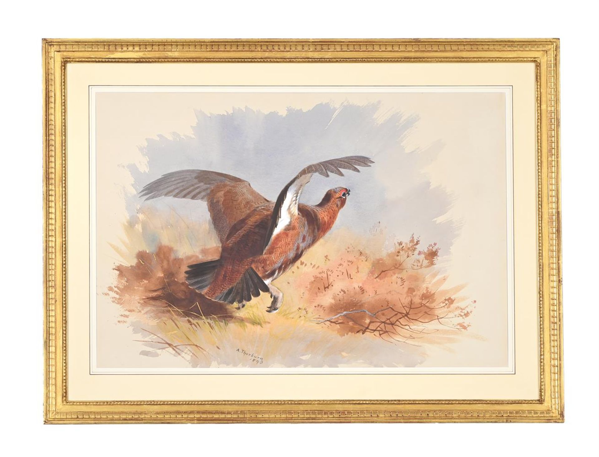ARCHIBALD THORBURN (BRITISH 1860-1935), A SET OF FOUR GAME BIRDS (4) - Image 6 of 10