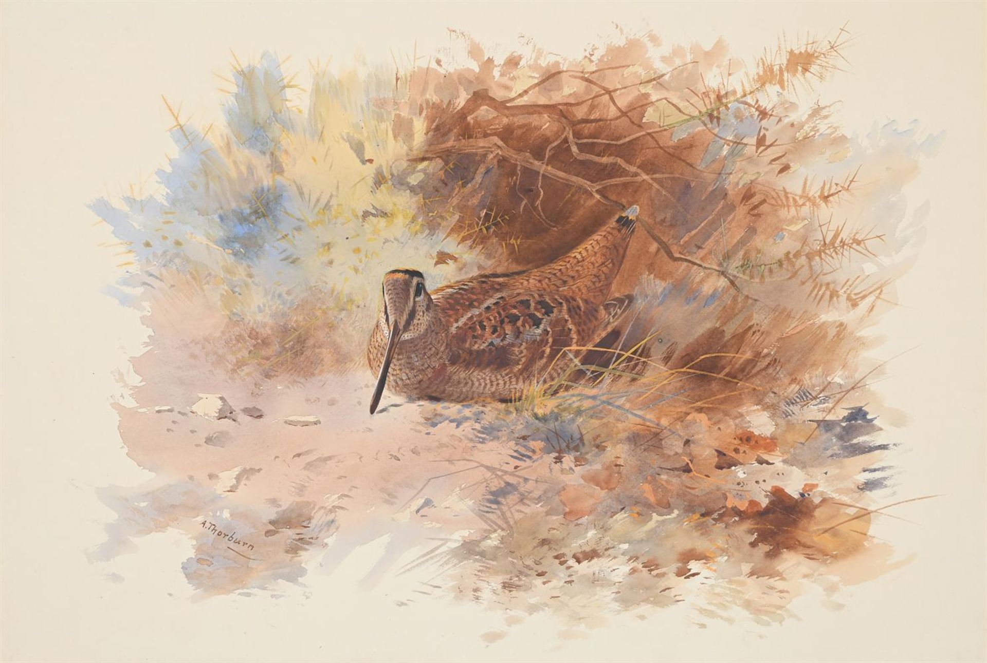 ARCHIBALD THORBURN (BRITISH 1860-1935), A SET OF FOUR GAME BIRDS (4) - Image 2 of 10