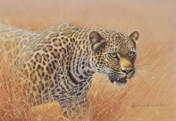 KIM BROOKS (BRITISH B. 1936), LEOPARD ALERT