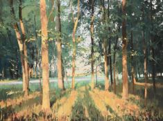 λ JAMES HART DYKE (BRITISH B. 1966), EVENING LIGHT ON THE TREES