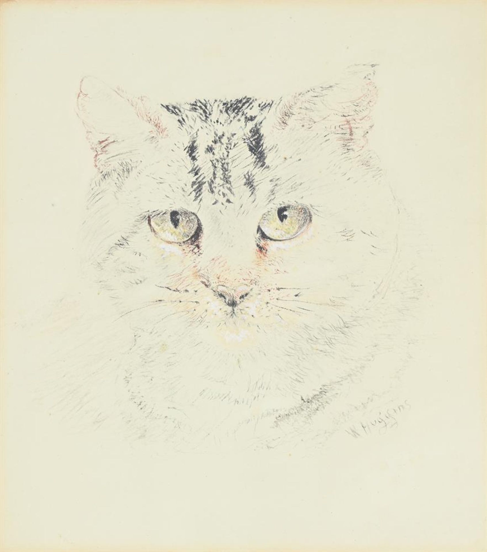 WILLIAM HUGGINS (BRITISH 1820 - 1884), CAT STUDY - Image 2 of 3