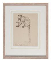 THEOPHILE ALEXANDRE STEINLEN (FRENCH 1859-1923), MONKEY