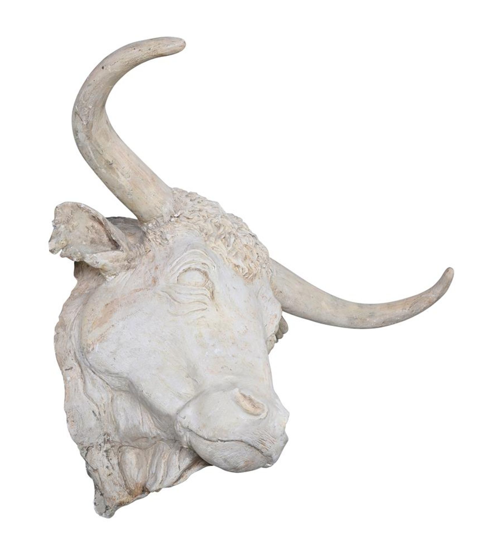 A PLASTER MODEL OF THE HEAD OF A BULL