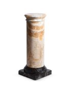 AN ITALIAN ALABASTRO MARITIME AND VARIEGATED MARBLE PEDESTAL, 18TH CENTURY