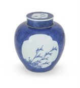 A Chinese powder-blue ground ginger jar and cover
