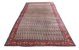 A LARGE SENNEH CARPET, 19TH CENTURY, approximately 780 x 460cm