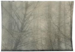 Rory Prout, Forest Study, 2023