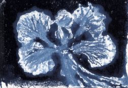 Maya Simms, The Peacock Flower, 2023