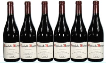 ß 2016 Domaine Georges Roumier, Chambolle-Musigny - In Bond