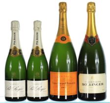 NV Fine Mixed Champagne (Mixed Formats)