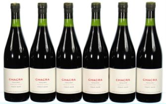 ß 2020 Chacra, Pinot Noir Cincuenta y Cinco, Patagonia - In Bond