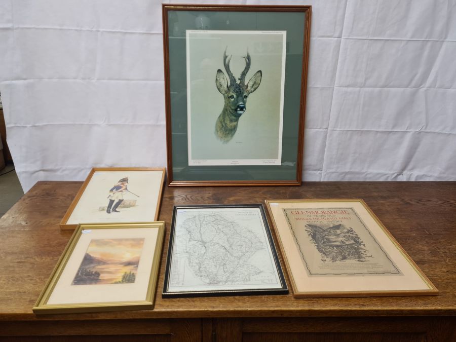 Limited edition signed print Roebuck by Brian Rawling