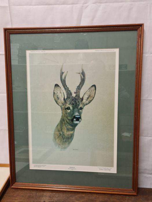 Limited edition signed print Roebuck by Brian Rawling - Image 2 of 4