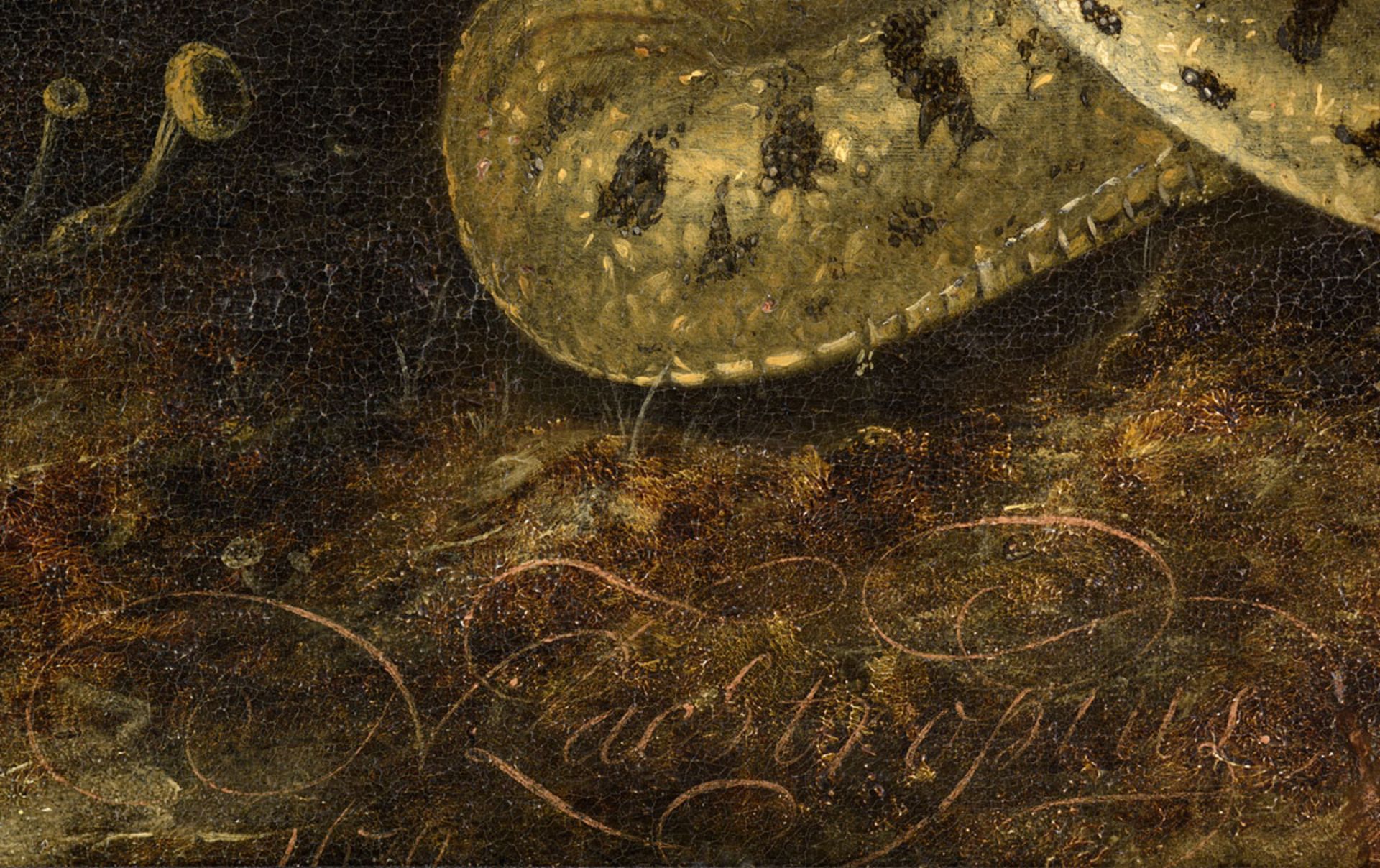 Lachtropius, Nicolaes 1640 Amsterdam - 1700 Alphen an de Rijn - Image 6 of 6