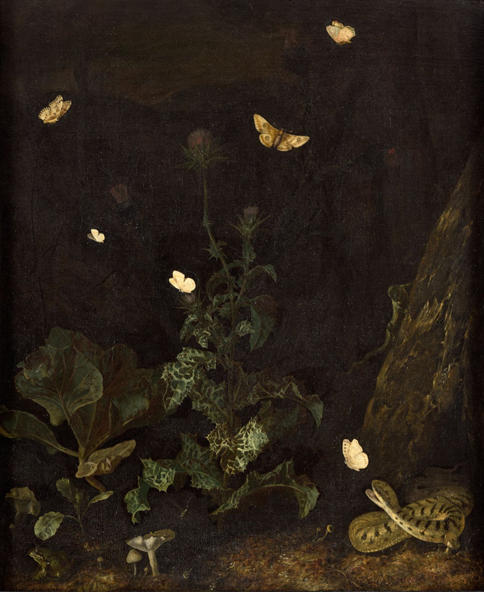 Lachtropius, Nicolaes 1640 Amsterdam - 1700 Alphen an de Rijn