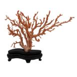 20th century pink branch coral specimen for display on wooden base H24cm W32cm Please note: if so