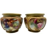 Two early 20th century Royal Worcester cache pots