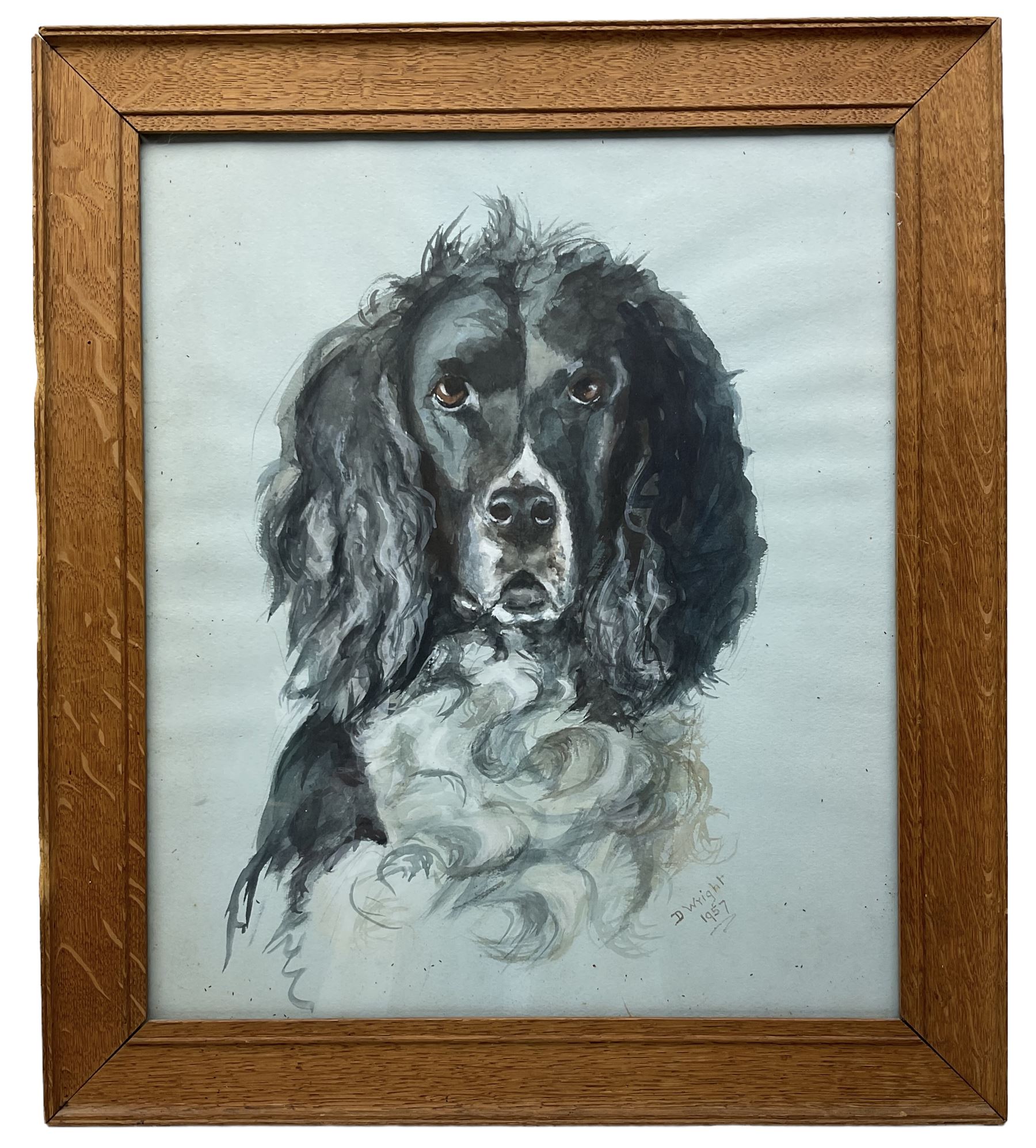 D Wright (British mid-20th century): Portrait of a Spaniel - Image 2 of 2