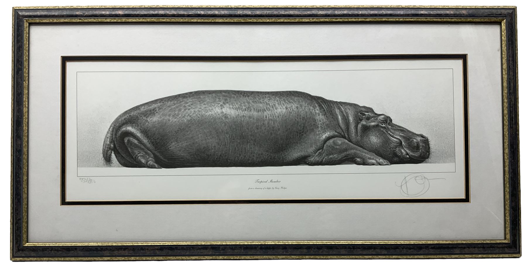 Gary Hodges (British 1954-): 'Tropical Slumber' Study of Hippo - Image 2 of 2