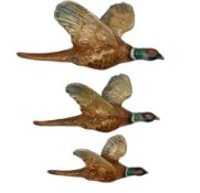 Set of three Beswick pheasant graduated wall plaques No 661/1