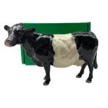 Beswick belted Galloway cow 4113a