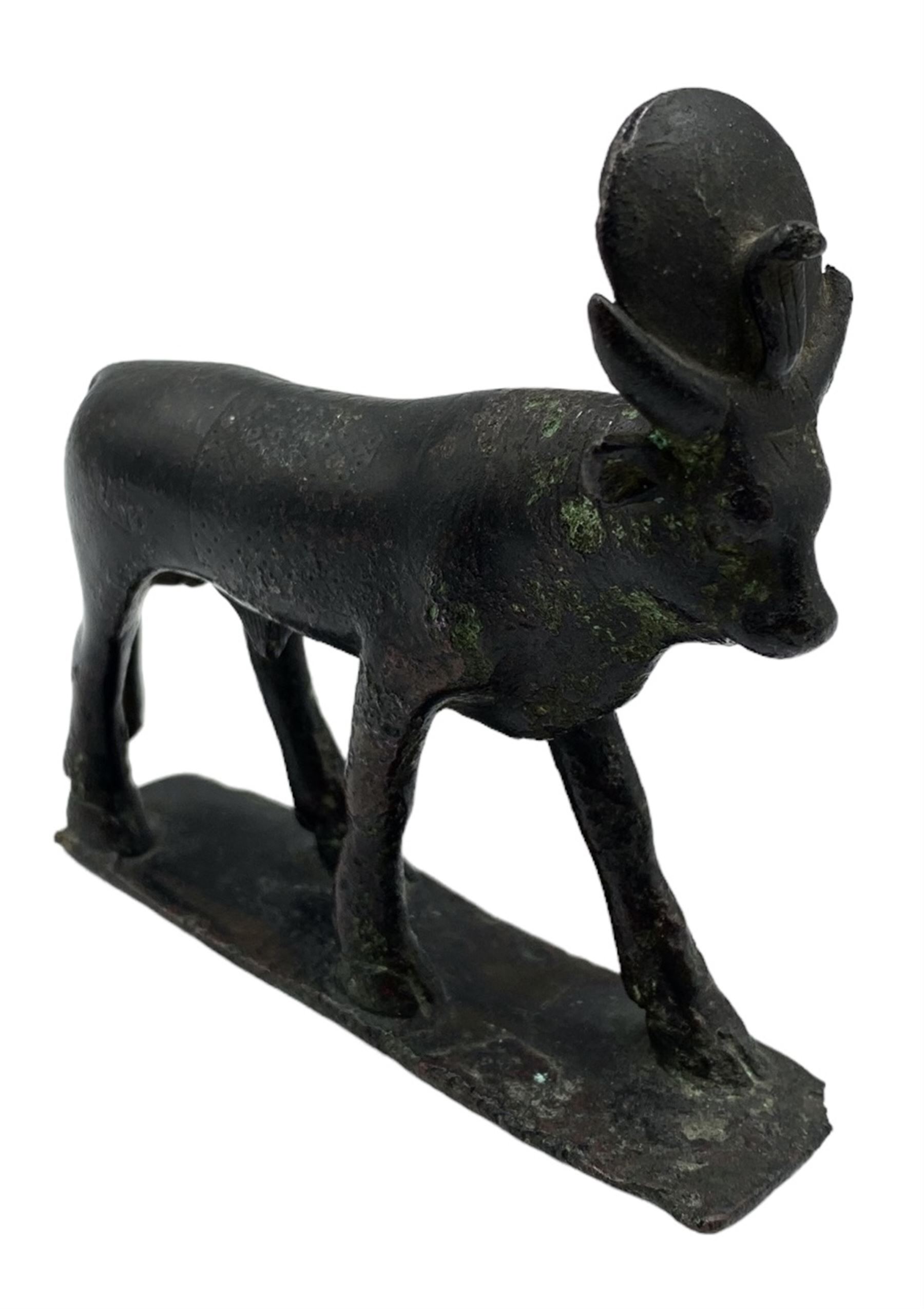 Ptolemeic period Egyptian bronze Apis Bull