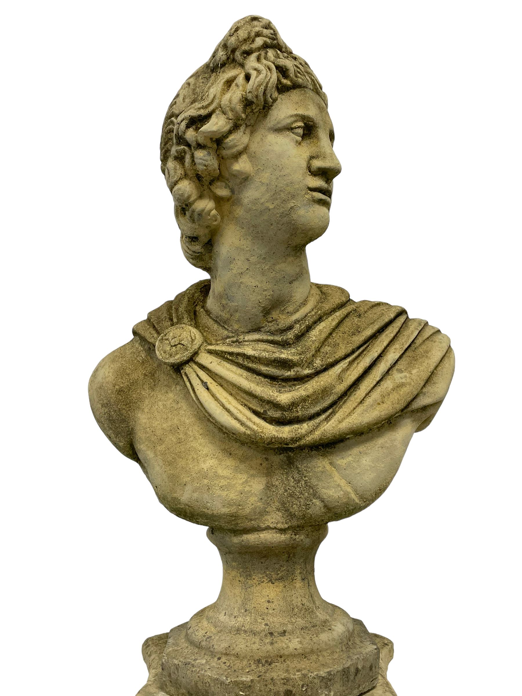 Composite stone classical design bust of Apollo Belvedere - Image 5 of 9