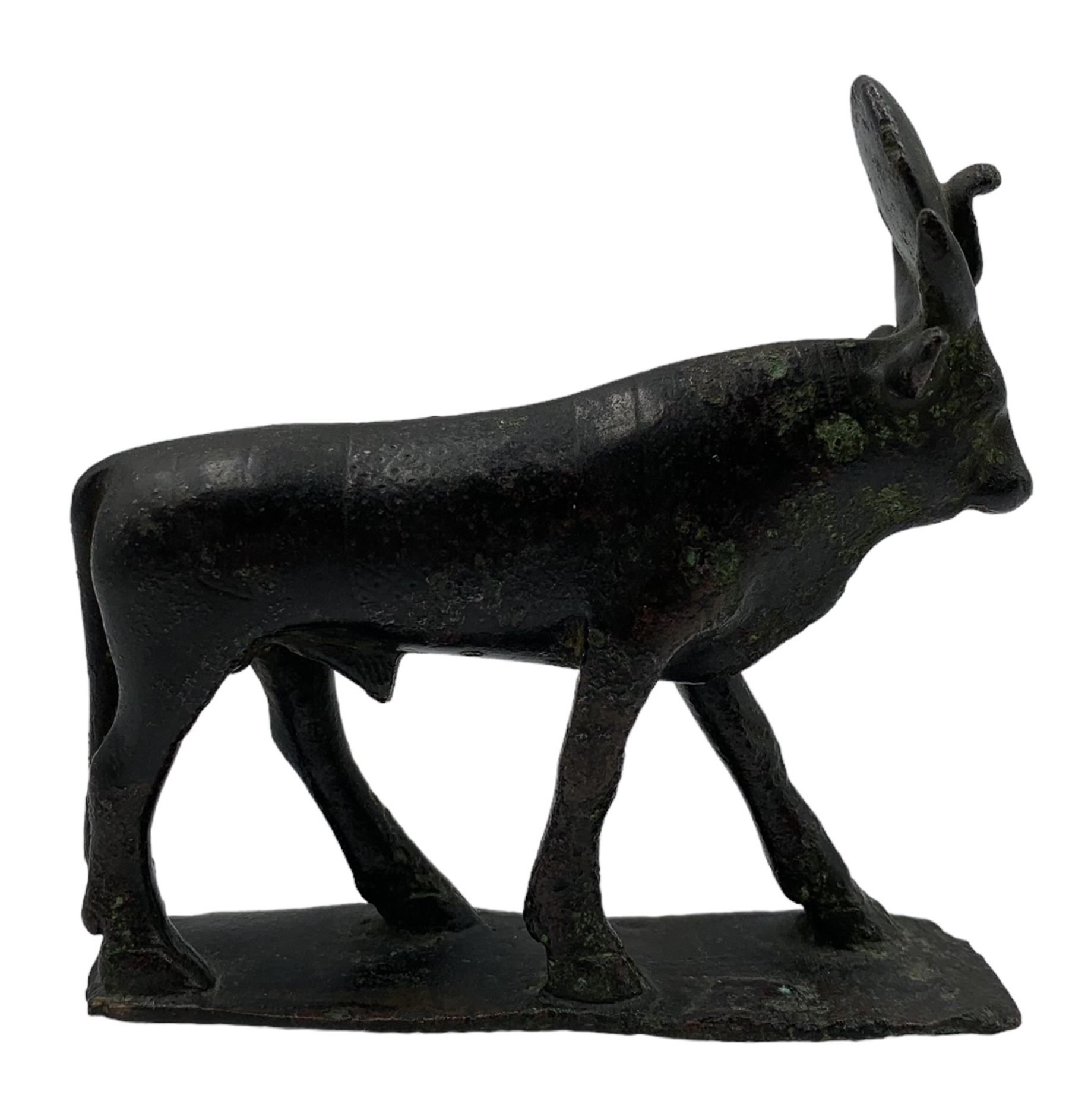 Ptolemeic period Egyptian bronze Apis Bull - Image 3 of 7