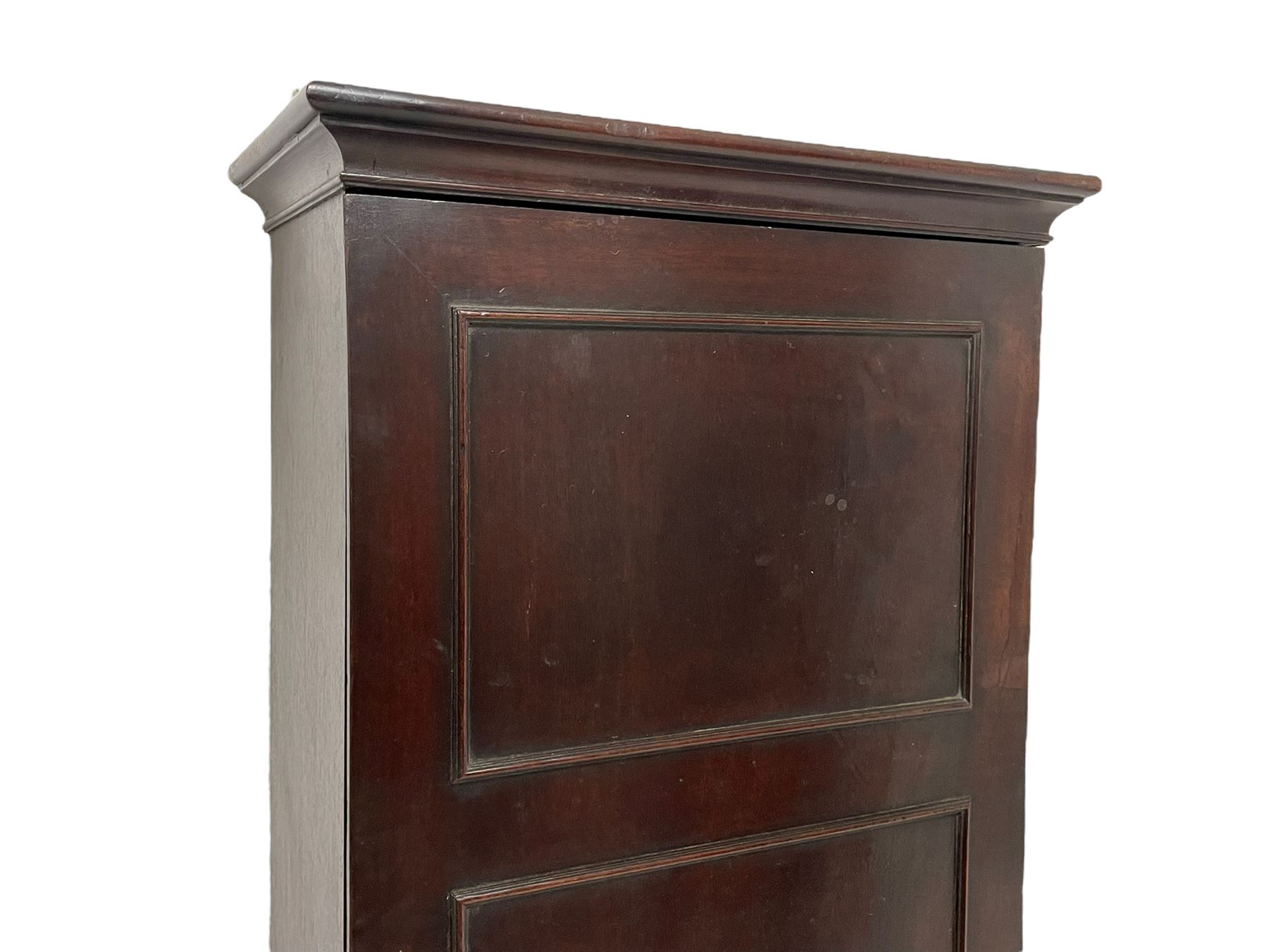 George III mahogany narrow cupboard - Image 2 of 10
