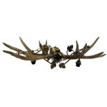 Antlers / Horns: European moose antler chandelier (Alces Alces)