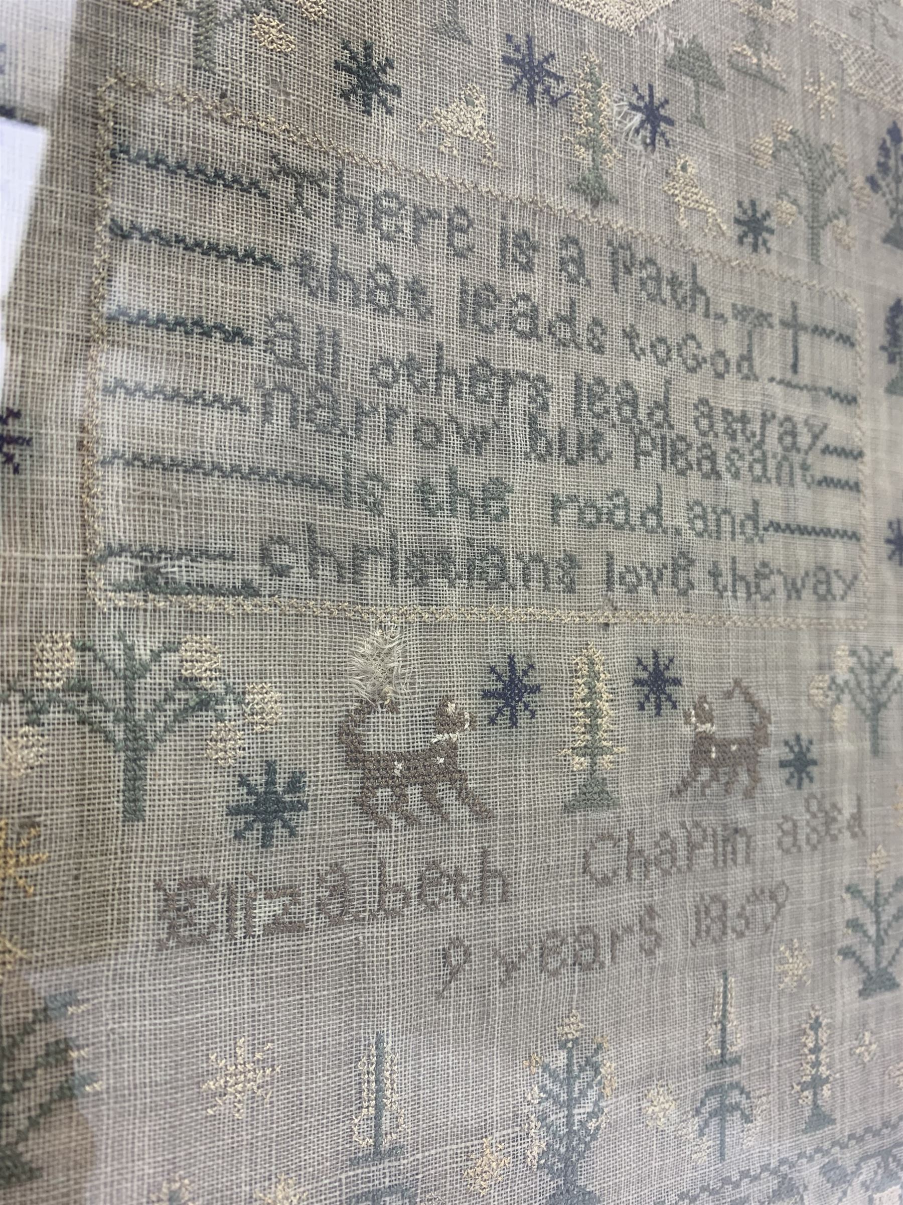 Victorian needlework sampler Elizabeth Chaplin Aged 9 Years - Image 4 of 5