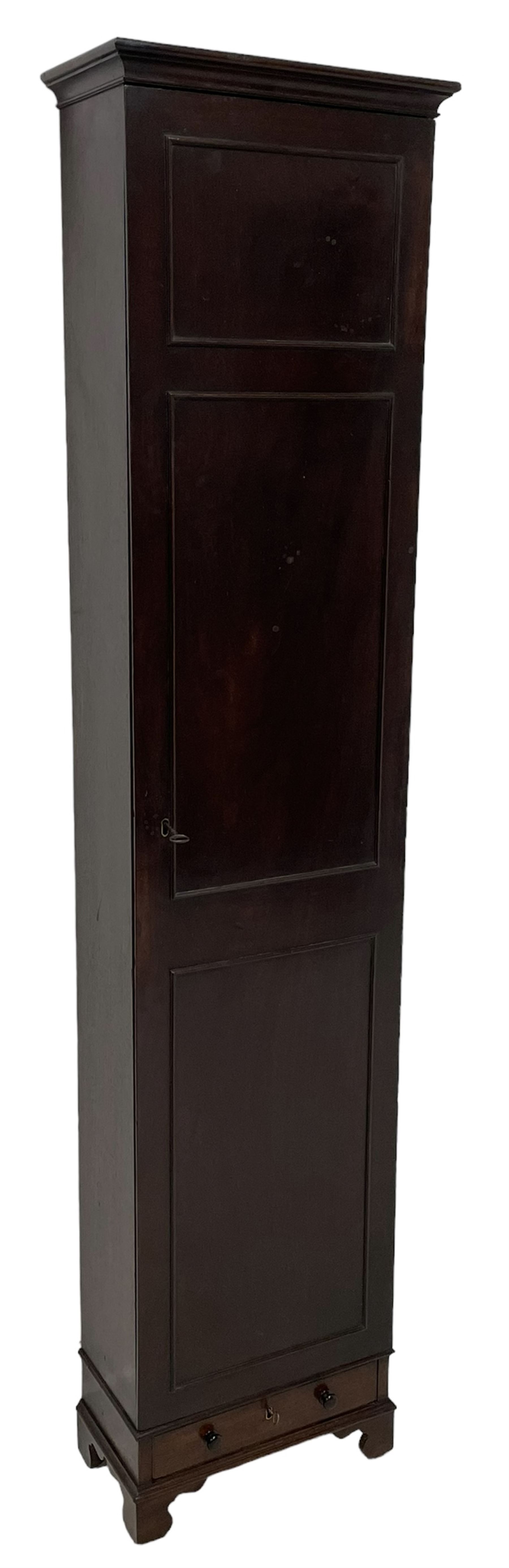 George III mahogany narrow cupboard