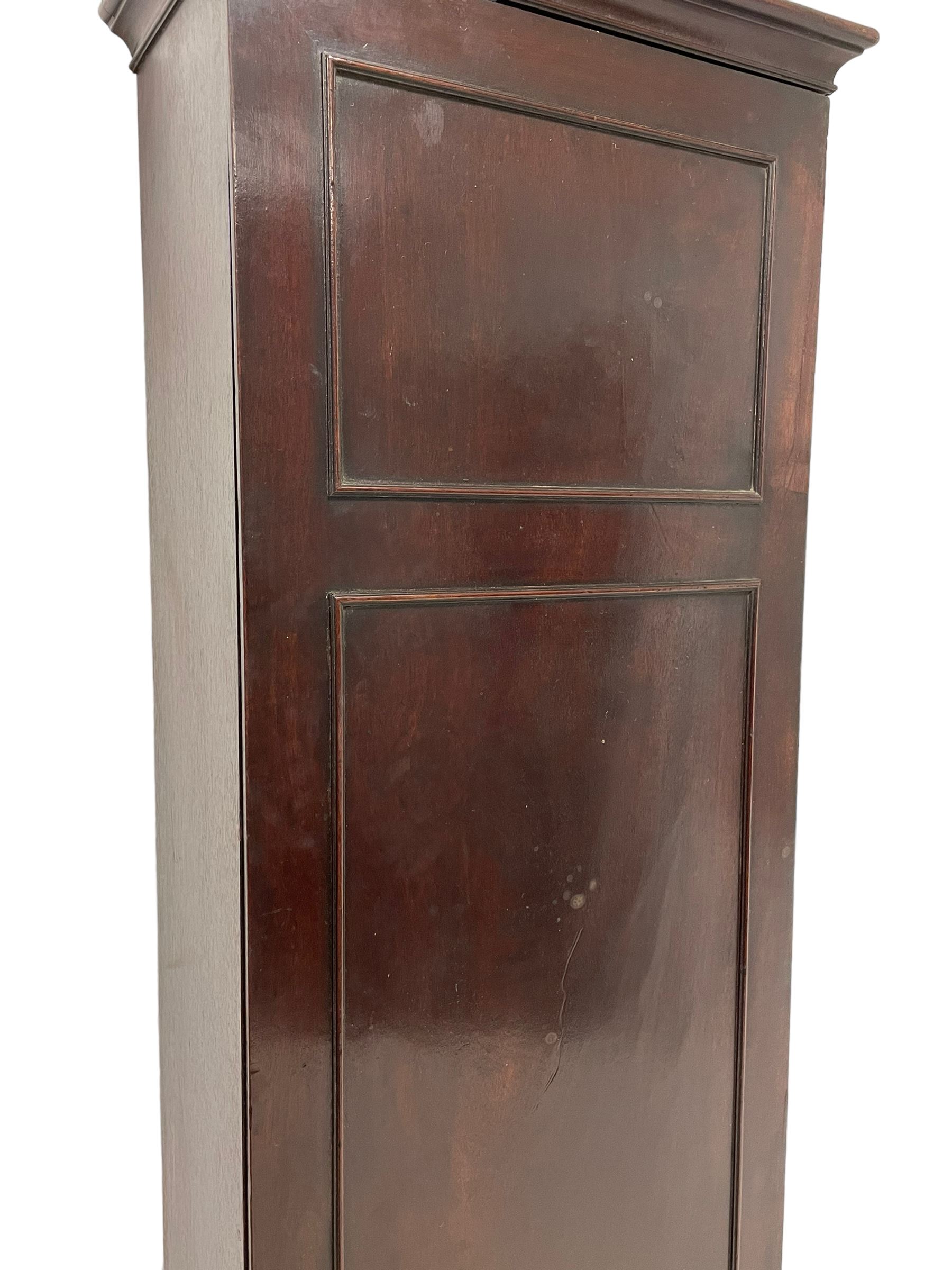 George III mahogany narrow cupboard - Image 3 of 10