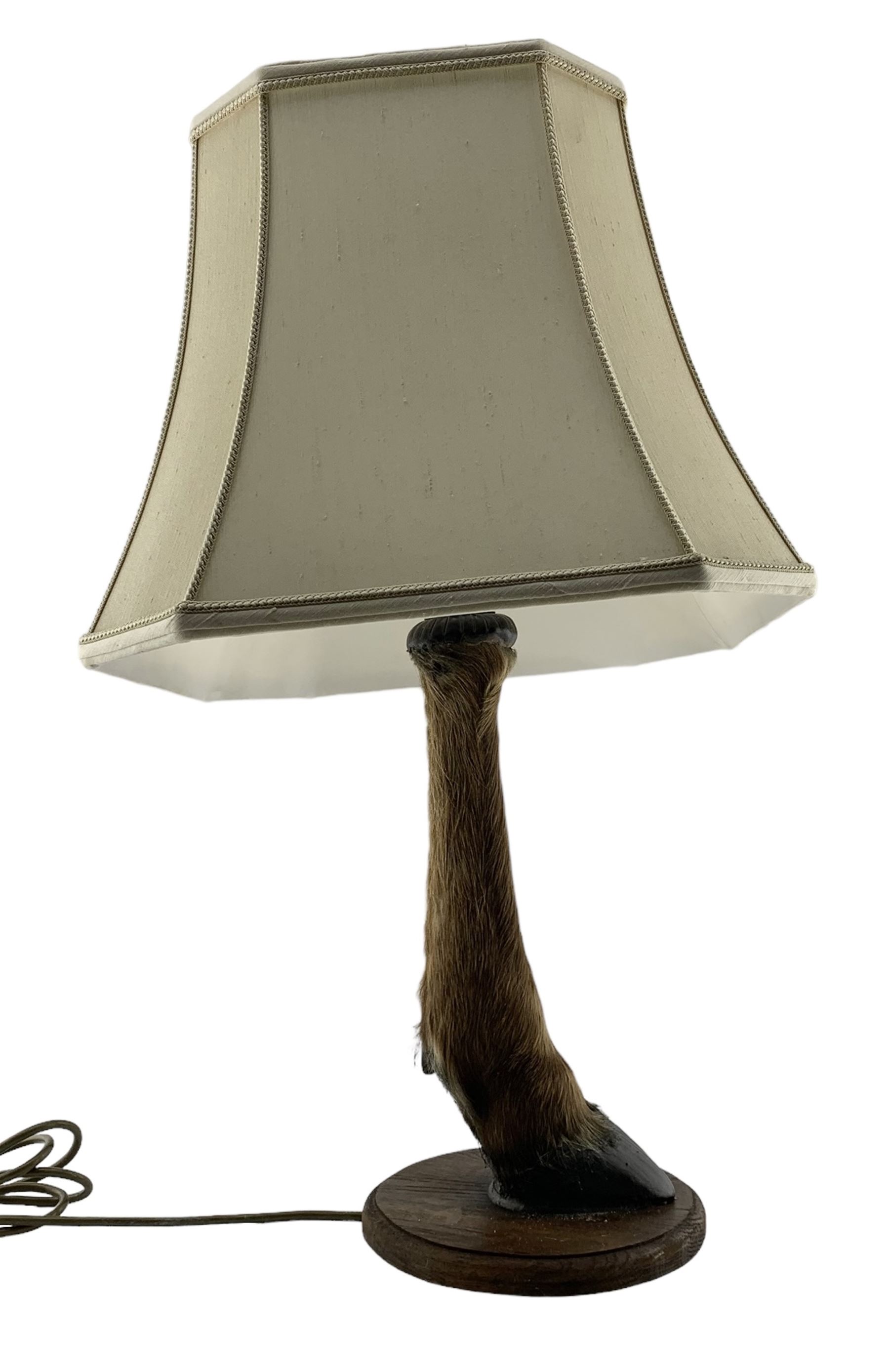 Pair of table lamps formed from deer slots mounted on oak shields - Image 3 of 6