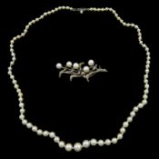 Single strand graduating pearl necklace