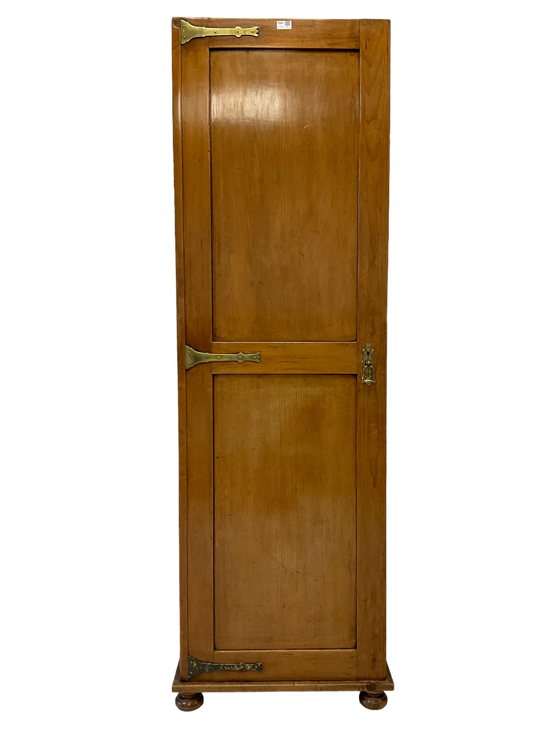 Late 19th century pine single wardrobe