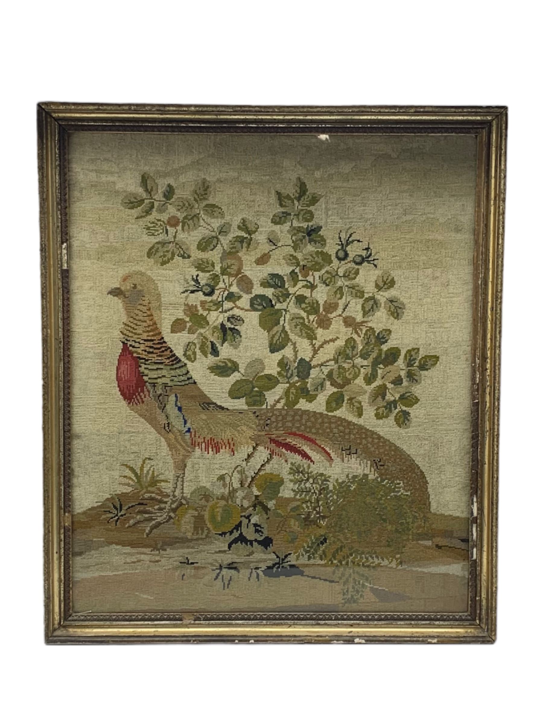 Victorian Berlin work wool picture of a pheasant