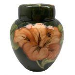 Moorcroft 'Coral Hibiscus' pattern ginger jar and cover