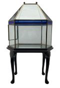 Victorian style hexagonal glass terrarium