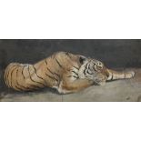 BWC (Continental Early 20th century): Portrait of a Recumbent Tiger