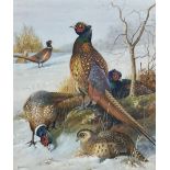 John Duncan (20th century): Pheasants in a Winter Landscape